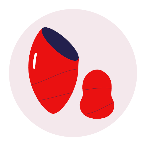 beauty-egg-12-512